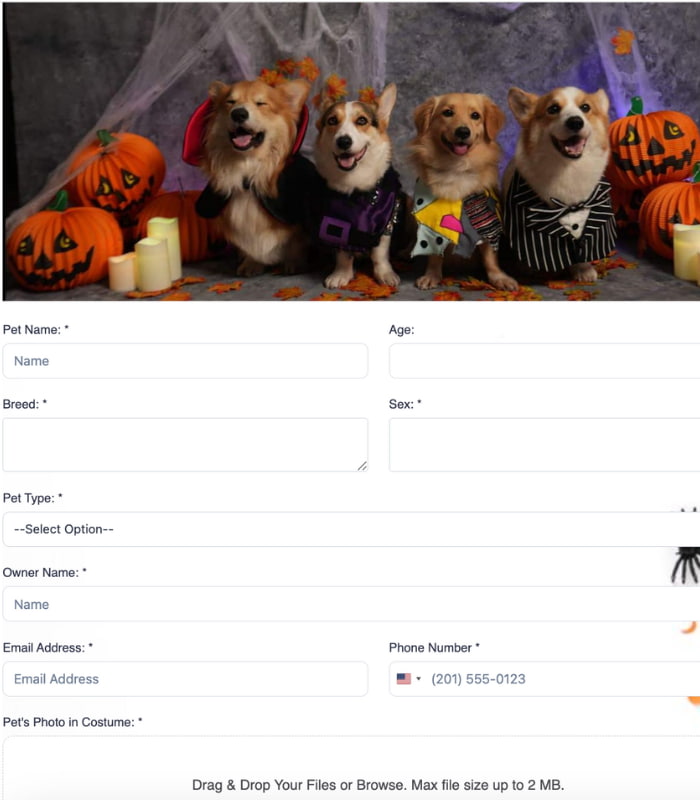 pet in halloween costume